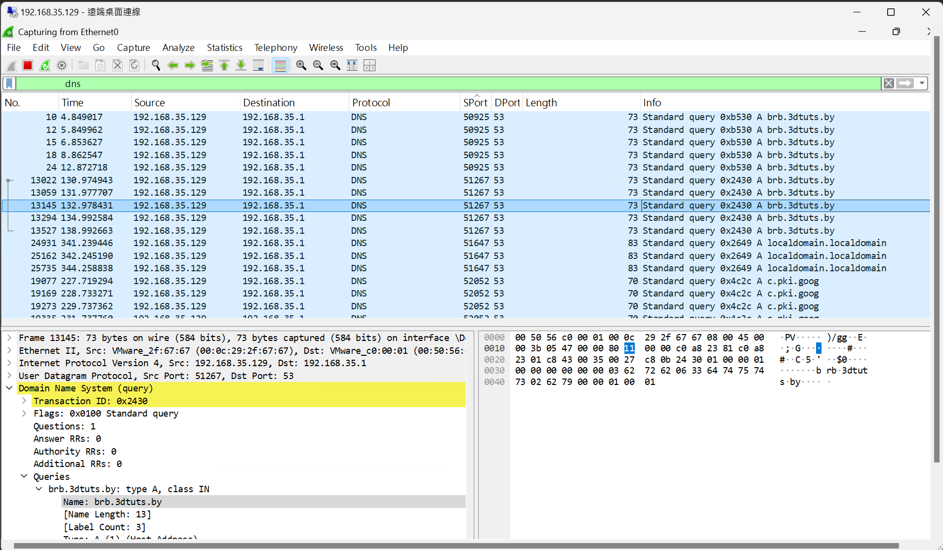 WireShark DNS