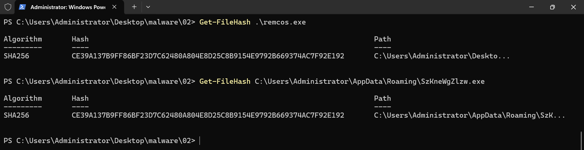 檢查 SzKneWgZlzw.exe 發現 hash 與原程式相同，故判斷為同一個檔案複製過去的